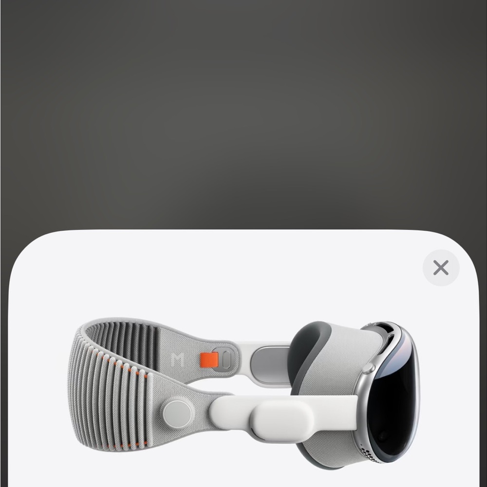 Apple Standalone VR Headset - Gray and White